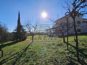 Haus - Novigrad (05180)