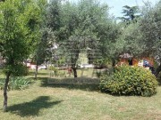 Istrien Haus - Novigrad (03406)