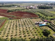 Haus - Novigrad (04964)