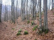 Bauland - Mrkopalj (00709)