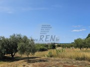Haus - Novigrad (05737)