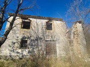 Istrien Haus - Buje (04429)