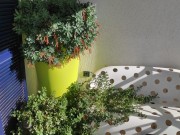 Wohnung - Pula (04723)