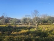 Bauland - Buje (05633)