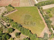 Landwirtschaftliche - Brtonigla (05681)