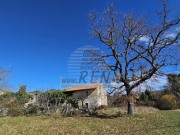 Istrien Haus  - Buje (05229)