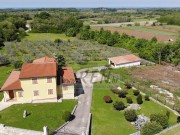 Haus - Brtonigla (04934)