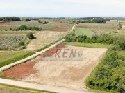 Landwirtschaftliche - Brtonigla (05690)