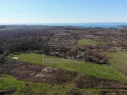 Landwirtschaftliche - Novigrad (05237)
