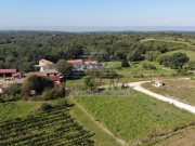 Bauland - Brtonigla (05587)