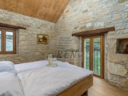 Villa - Buje (05113)