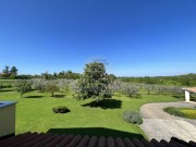 Haus - Brtonigla (04934)