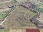 Landwirtschaftliche  - Brtonigla (05681)