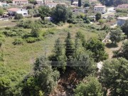 Bauland - Brtonigla (03948)